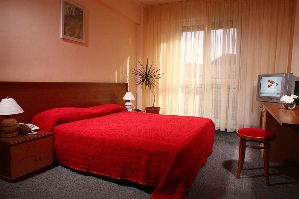 Hotel Reghina Timişoara Værelse billede